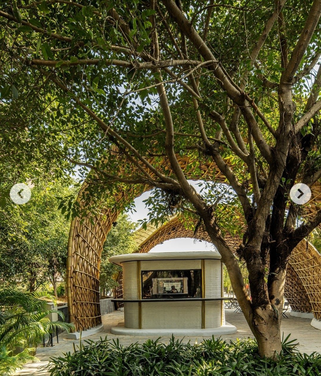 The 3D printed canteen buildings at Ashoka University, Sonipat.